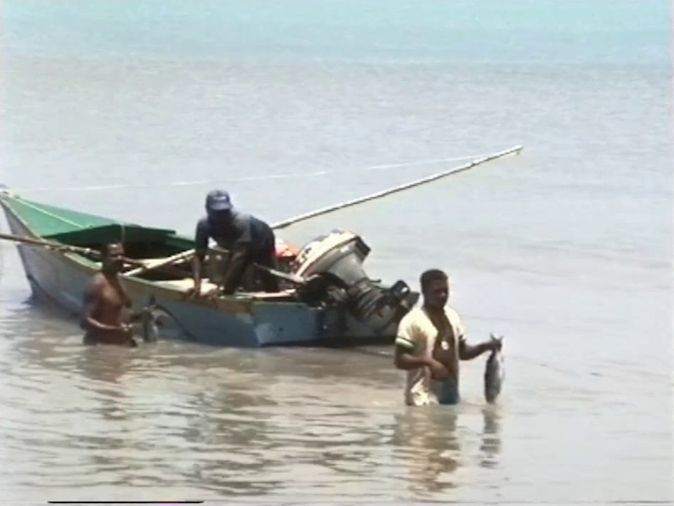 Fishermen working with their boats and preparing their catches of fish, crabs and conch for the market in Providencia.