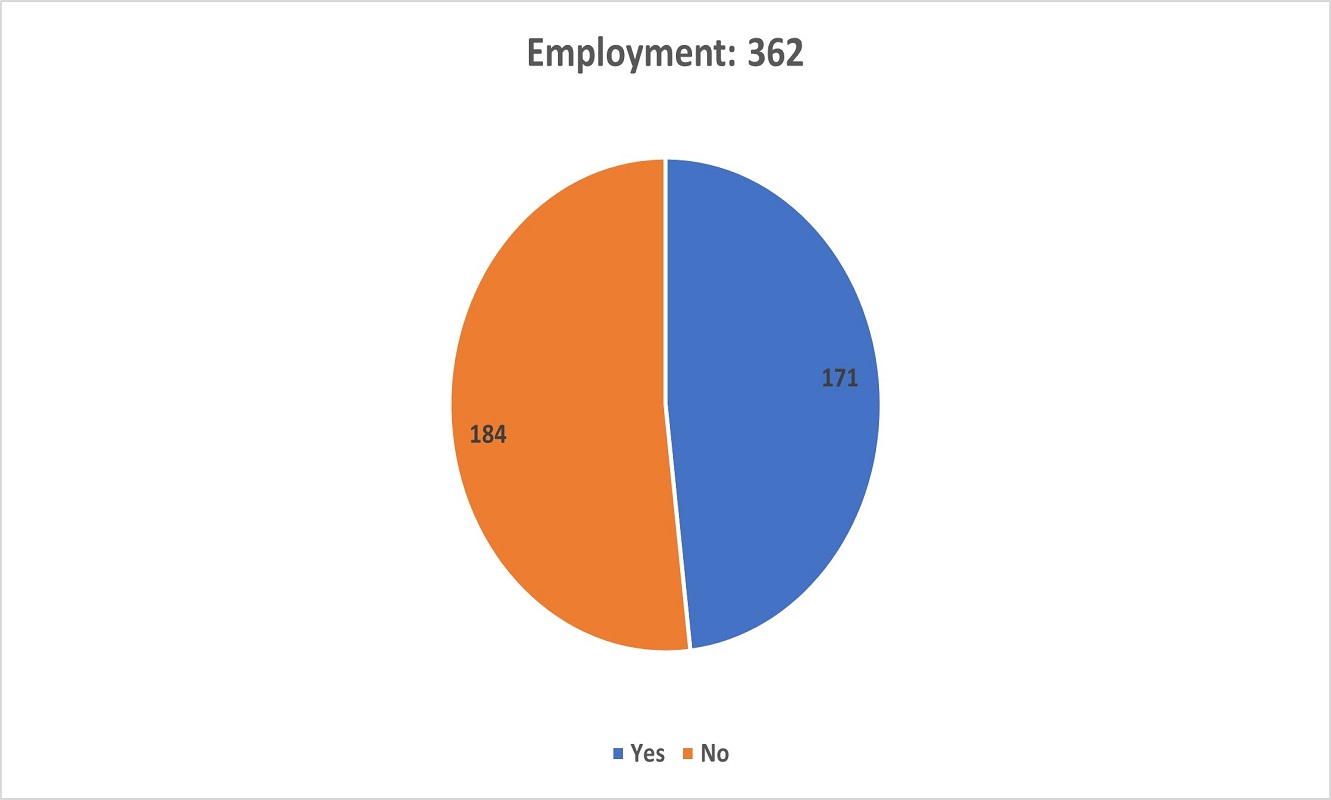 A pie chart showing the Employment of respondents in the Survey.