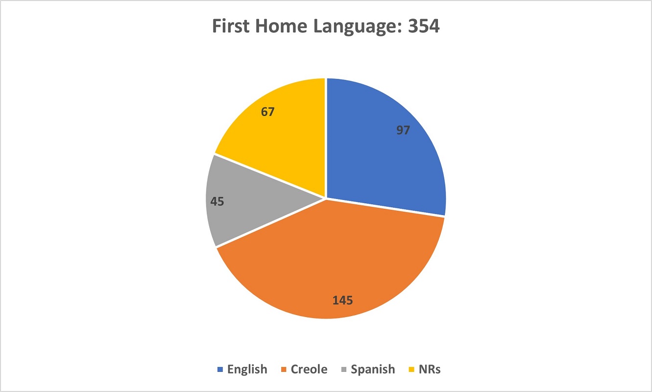 A pie chart showing the First Home Language of respondents in the Survey.