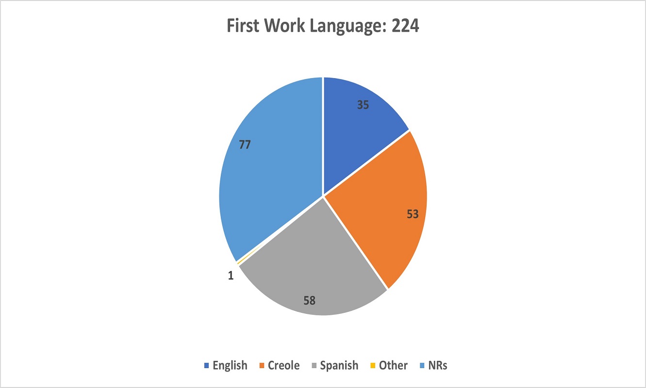A pie chart showing the First Work Language of respondents in the Survey.