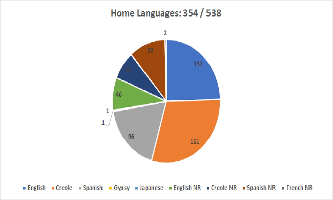 A pie chart showing the global Home Language Use of respondents in the Survey.