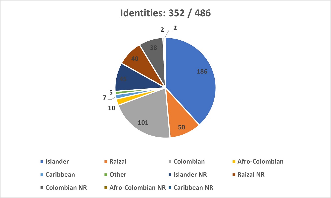 A pie chart showing the global Identities of respondents in the Survey.