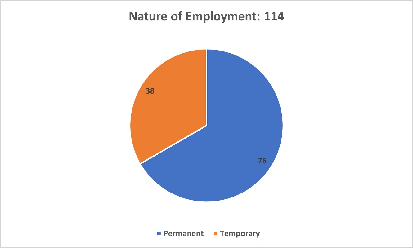 A pie chart showing the Employment Status of respondents in the Survey.