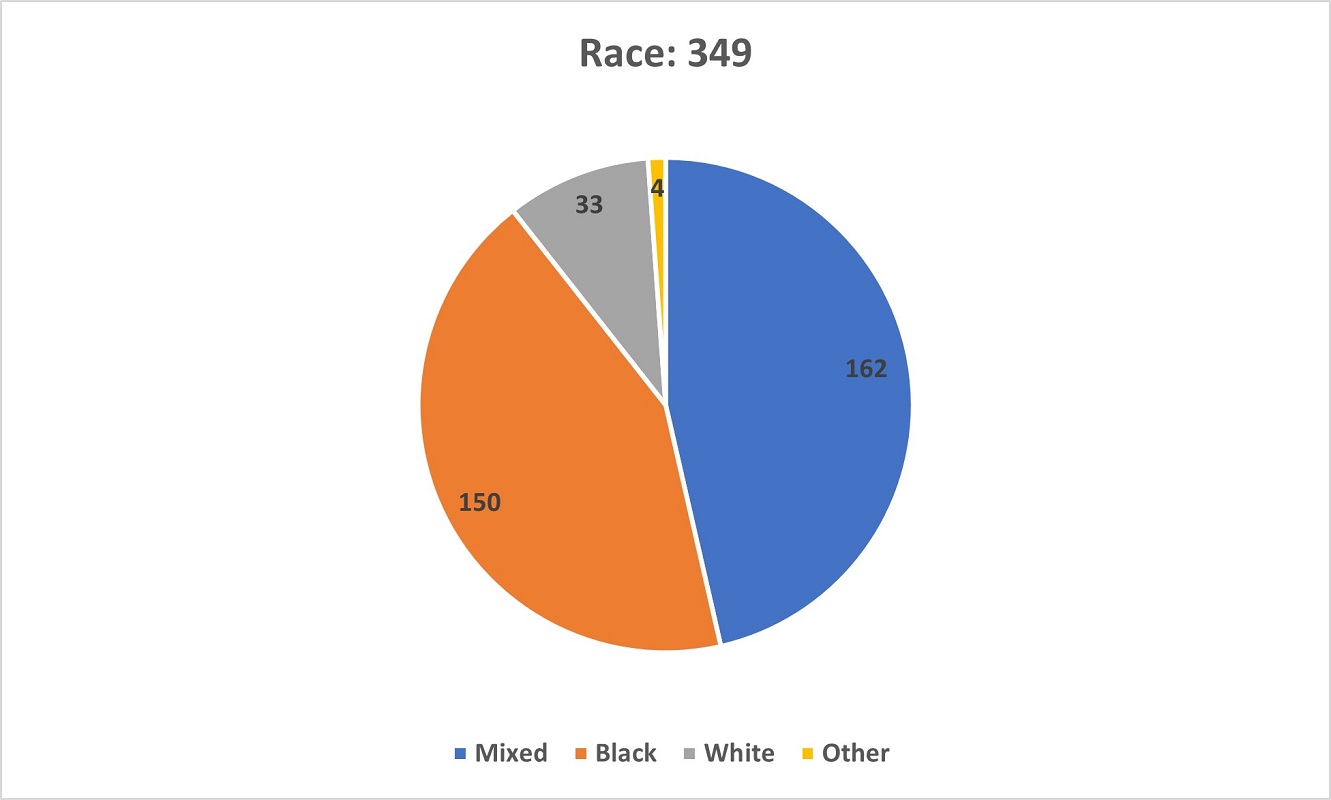 A pie chart showing the self-ascribed Race of respondents in the Survey.