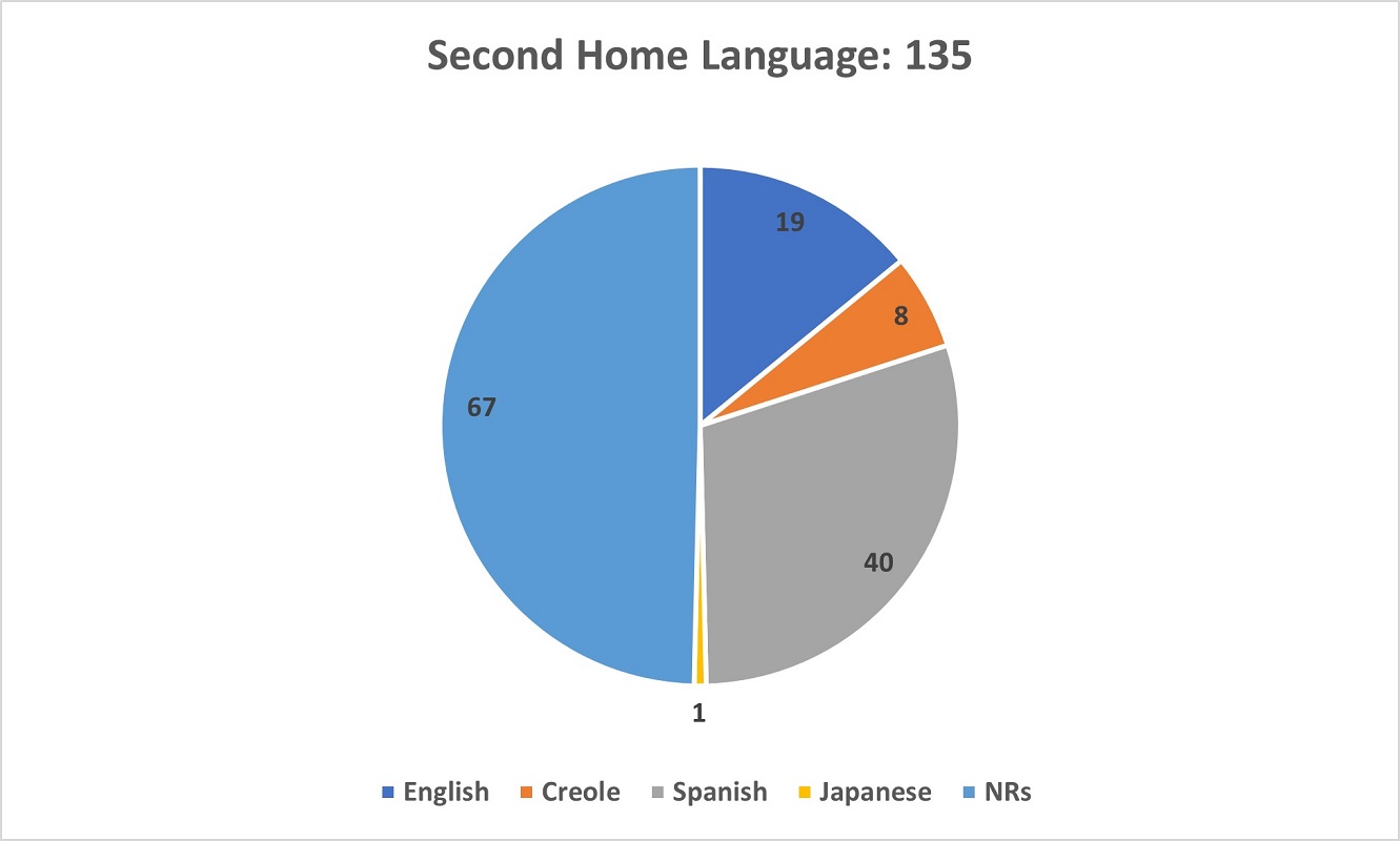 A pie chart showing the Second Home Language of respondents in the Survey.