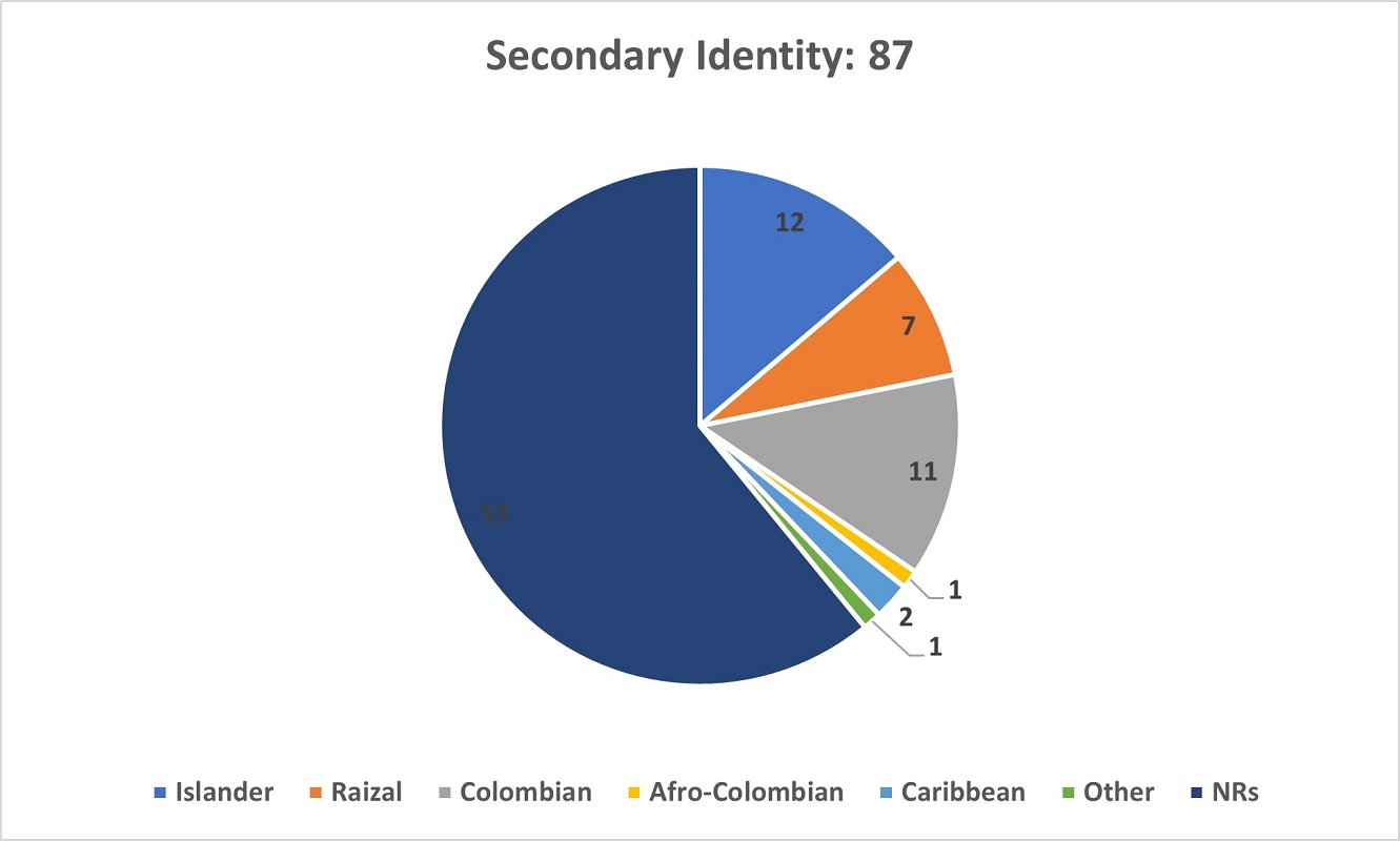 A pie chart showing the Secondary Identity of respondents in the Survey.