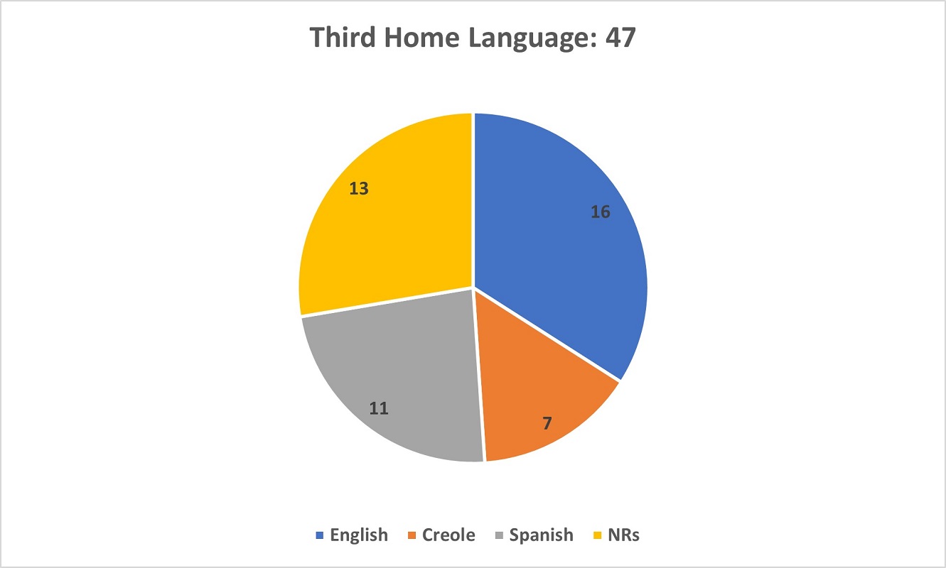 A pie chart showing the Third Home Language of respondents in the Survey.