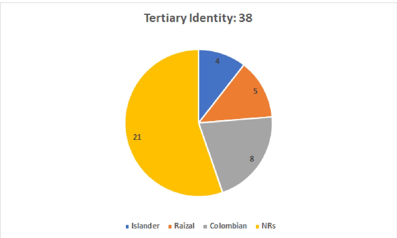 A pie chart showing the Tertiary Identity of respondents in the Survey.