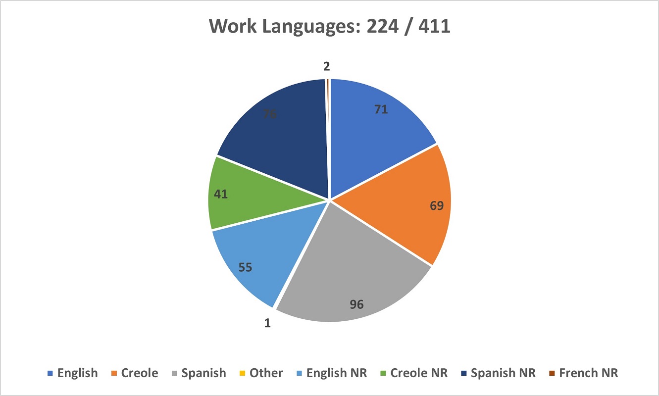 A pie chart showing the global Work Language Use of respondents in the Survey.
